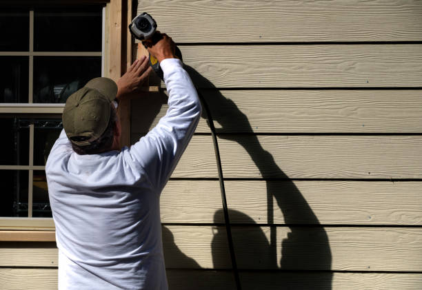 Best Steel Siding Installation  in Shannon, MS